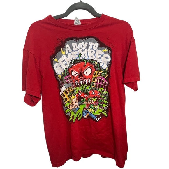 Delta Other - Day to remember shirt size large minor cracking on print